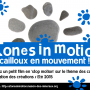 stonesinmotion.png